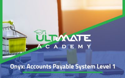 Onyx: Accounts Payable System Level 1